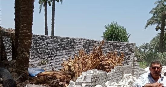 محافظ بنى سويف: إزالة 36 حالة تعد على الأرض الزراعية خلال أيام العيد