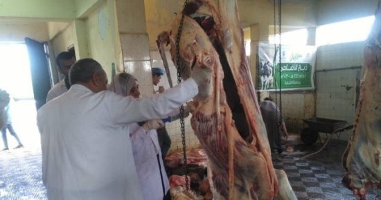 ذبح 630 أضحية بالمجان داخل مجازر الشرقية