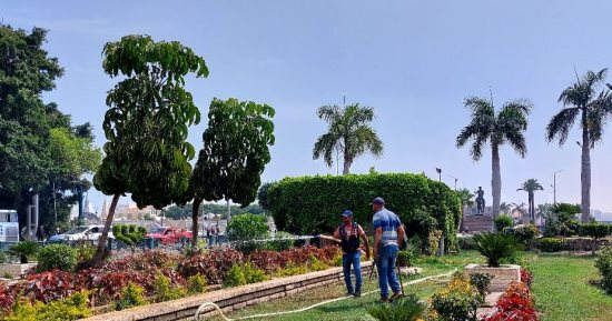 محافظ الإسكندرية: أكثر من 24 حديقة عامة موزعة على مستوى الأحياء جاهزة لاستقبال الزوار