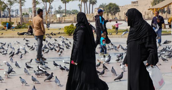 ميدان أبو الحجاج الأقصرى يتحول لميدان أوروبى بأسراب بديعة من الحمام.. صور
