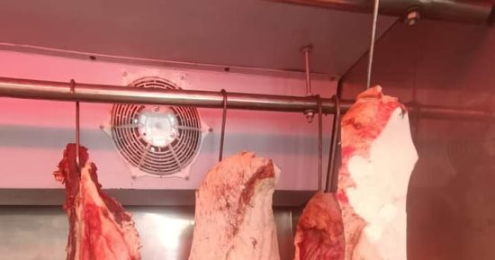 صحة جنوب سيناء: تحرير 39 محضرا وإعدام مواد غذائية متنوعة منتهية الصلاحية