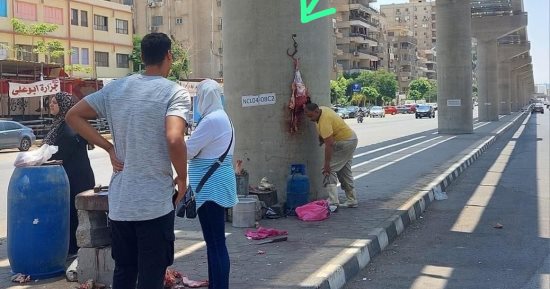تحرك أجهزة الدولة فى واقعة "جزار المونوريل".. إجراءات من المحافظة والهيئة القومية للأنفاق.. تحرير محاضر إتلاف ممتلكات عامة وبيئة وإشغال طريق.. والحى: ارتكب مخالفات أيام الوقفة وعيد الأضحى وتم التعامل معه