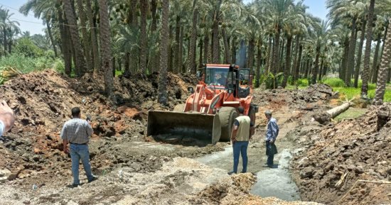 محافظة الجيزة تزيل 15 حالة تعدٍ على الأراضى الزراعية بالعياط والبدرشين