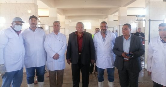 بيطرى الأقصر يكشف تفاصيل خدمة الأهالى والمؤسسات بالمجازر فى العيد.. صور