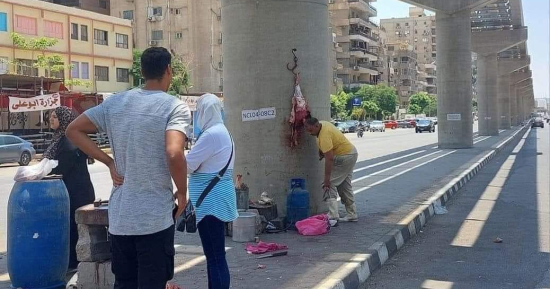 محافظة القاهرة تحرر محاضر إتلاف لجزار علق اللحوم على أعمدة المونوريل.. صور