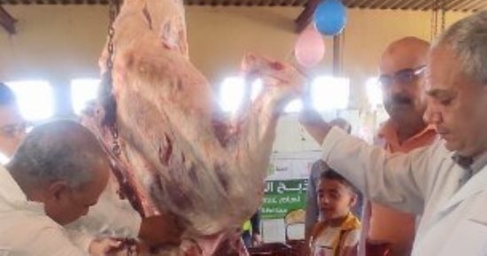 بيطري الشرقيـة تشرف على ذبح 505 رؤوس ماشية وأغنام أضاحٍ بالمجازر المجانية