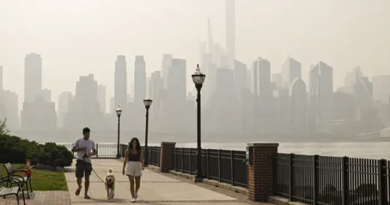 حشرات صغيرة تغزو نيويورك بعد دخان حرائق الغابات الكندية