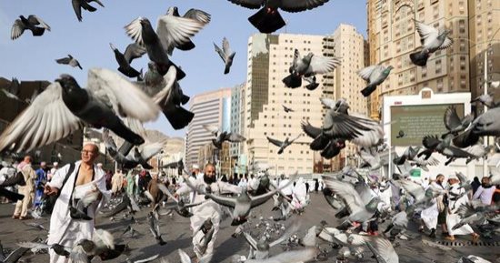خشوع وصلاة ودعاء.. أجمل لقطات موسم الحج 2023