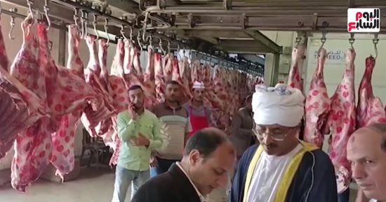 توزيع لحوم أضاحى وزارة الأوقاف بالقاهرة والجيزة.. فيديو