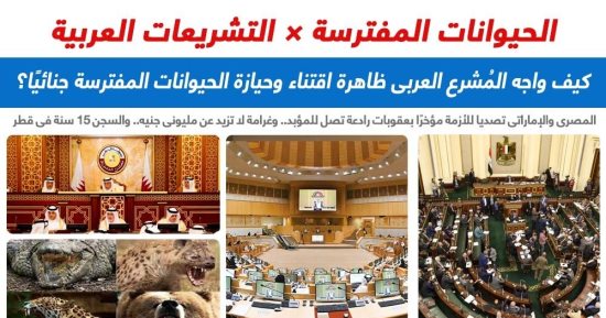 المواجهة الجنائية لظاهرة اقتناء الحيوانات الخطرة فى التشريعات العربية..برلماني