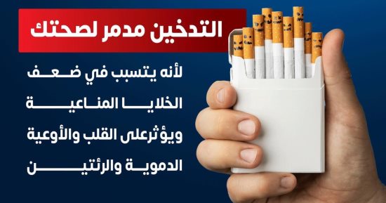 الصحة: التدخين يدمر الخلايا المناعية للجسم ويؤثر على صحة القلب والرئتين