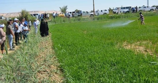 جمال صيام لـ إكسترا نيوز: الدولة رصدت 900 مليار جنيه لمياه الرى و40 مليارا للصوامع