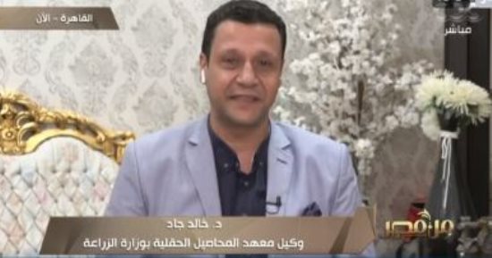 وزارة الزراعة: حققنا طفرة كبيرة بإنتاجية المحاصيل الاستراتيجية منذ 2014