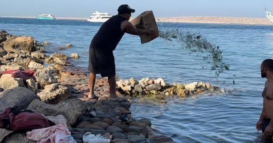 ضبط شخص بعد ساعات من إلقاء زجاجات فارغة بمياه البحر فى الغردقة 