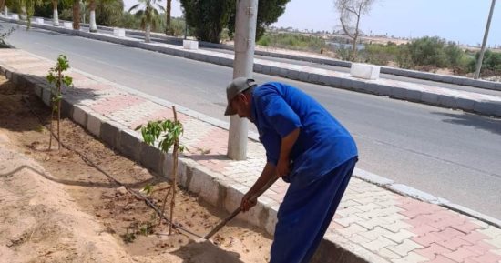 استئناف المبادرة الرئاسية لزراعة 100 مليون شجرة بأبو سمبل بأسوان
