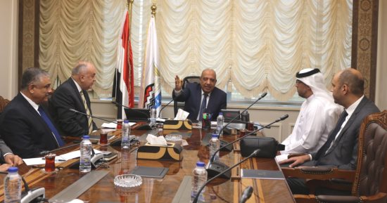 وزير قطاع الأعمال العام يبحث مع "العربية للإنماء الزراعى" فرص الاستثمار بتوشكى