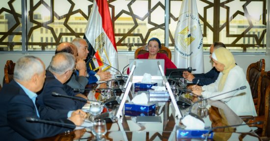 وزيرة البيئة تناقش آليات دعم تنفيذ مشروع إنتاج الأخشاب الـMDF من الغابات