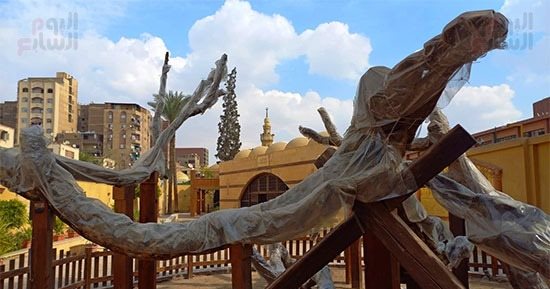 "شجرة مريم" ومسار العائلة المقدسة بالمطرية.. جنود الحملة الفرنسية استخدموا بلسمها فى علاج الأمراض الجلدية.. والبئر والمغارة أكبر معجزات المحطة.. والأب جورج: زوارها أجانب ورممها الرهبان الفرنسيسكان عام 1584م