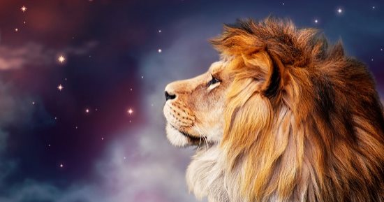4 أخطاء لا ترتكبها مع مواليد برج الأسد لتحافظ على علاقتك بهم