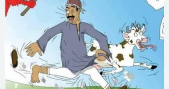 بيطرى الأقصر يعلن انطلاق الحملة الثانية للتحصين ضد الحمى القلاعية والوادى المتصدع