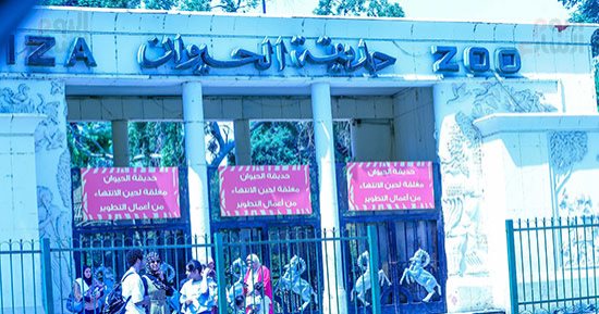 تفاصيل مشروع تطوير حديقتى الحيوان والأورمان.. عدم المساس بالمساحات الخضراء والمبانى الأثرية والتاريخية.. الحفاظ على الأشجار والنباتات النادرة.. نسبة المباني لا تتجاوز 9%؜.. وملكية الحديقتين خالصة لوزارة الزراعة