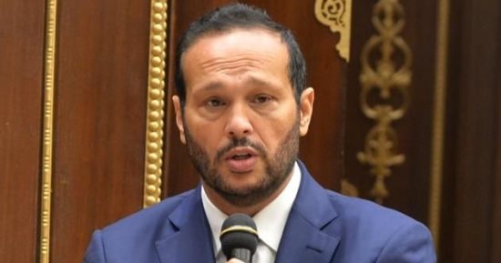 النائب محمد حلاوة يطالب الدولة بدعم الاستثمار في صناعة البتروكيماويات