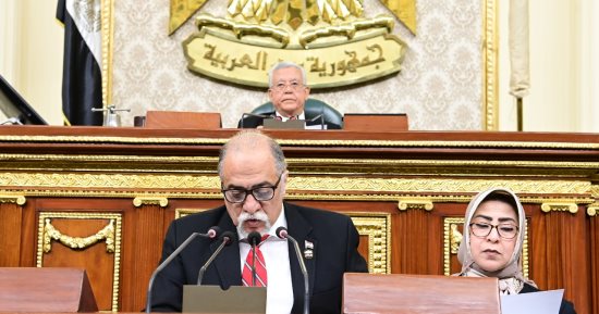 تضامن النواب: مشروع قانون صندوق قادرون باختلاف يوفر موارد مالية جديدة لدعم ذوى الهمم