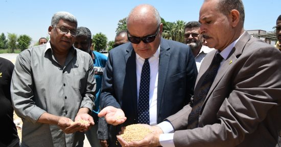محافظ قنا يتابع توريد محصول القمح في بنكر تخزين قوص
