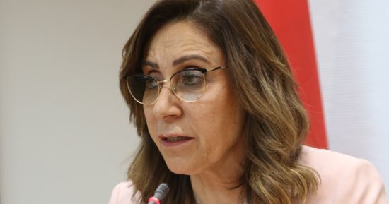 وزارة الثقافة تؤجل المسيرة التضامنية مع الشعب الفلسطينى