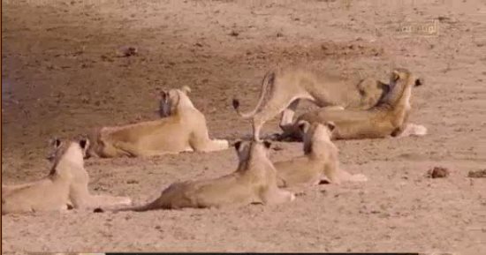 القناة الوثائقية تعرض فيلما بعنوان "حكايات من زامبيا"