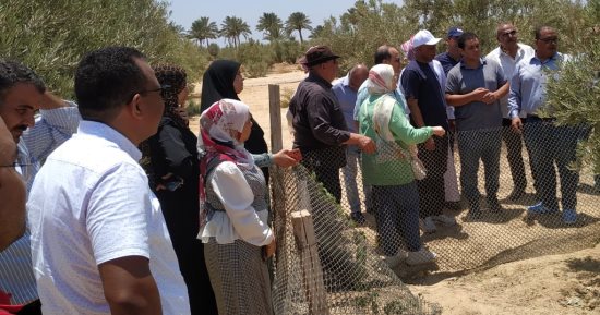 الزراعة: وفد الفاو يتفقد أنشطة مركز بحوث الصحراء بجنوب سيناء