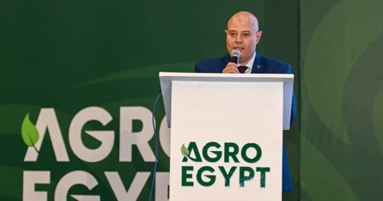 تصديرى الصناعات الكيماوية: مصر تحتل المرتبة السابعة عالمياً في تصدير الأسمدة 