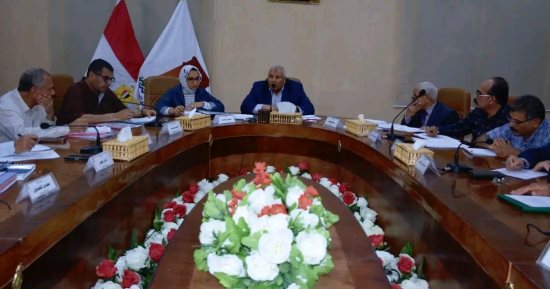 محافظ الوادى الجديد: مهلة 6 أشهر للمشروعات غير الجادة وبعدها سحب الأراضى
