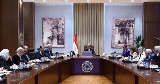 رئيس الوزراء يستعرض الرؤية المقترحة لتطوير منطقة جنوب القاهرة التاريخية
