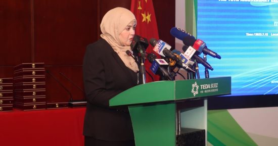 رئيس "تيدا-مصر": نحظى بدعم قوى من الحكومتين المصرية والصينية