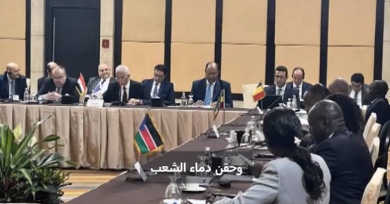 لحقن دماء الشعب السودانى.. مصر تستضيف قمة دول جوار السودان .. فيديو