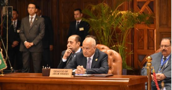 أبو الغيط يدعو للحفاظ على مؤسسات الدولة السودانية ومعارضة التدخل الخارجى