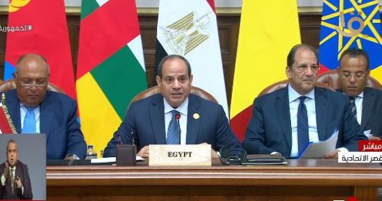 الرئيس السيسى: مصر ستبذل كل ما بوسعها لوقف نزيف الدم السودانى