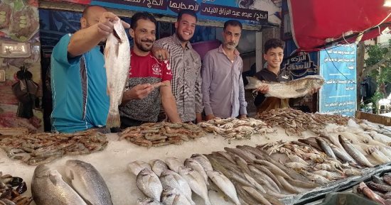 شعبة الأسماك: تراجع البلطى 4 جنيهات والكيلو 54 جنيها لمقاس 2