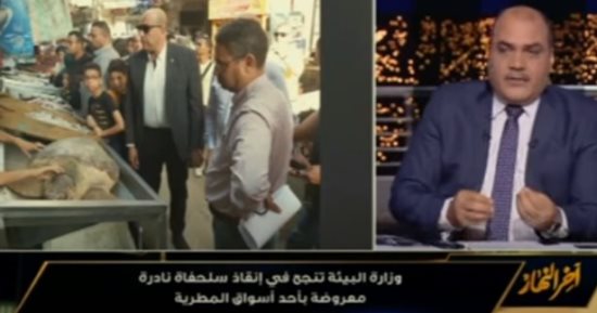 رئيس جهاز شئون البيئة: إنقاذ سلحفاة نادرة معروضة في أحد أسواق المطرية