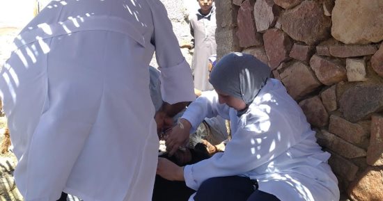 انطلاق الحملة القومية للتحصين ضد الحمى القلاعية والوادى المتصدع بجنوب سيناء