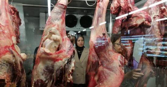أسعار اللحوم فى مصر تسجل استقرارا بالأسواق