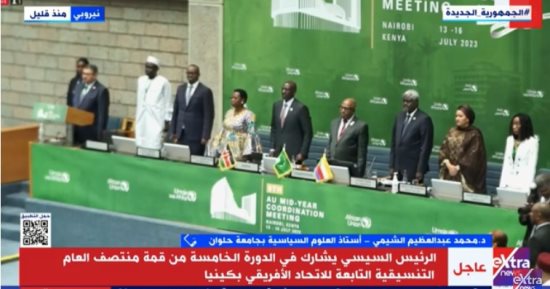 أستاذ علوم سياسية: مصر اهتمت بكيفية إيجاد مسارات مناسبة للتنمية فى أفريقيا