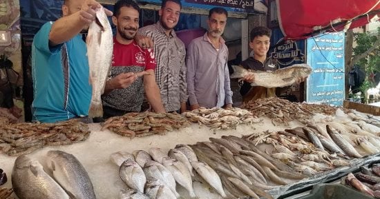 آخر تطورات أسعار الأسماك فى الأسواق اليوم الأحد 