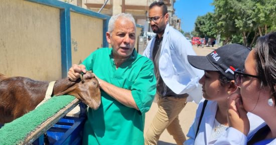طب بيطرى جامعة الإسكندرية تنظم 9 قوافل بيطرية لخدمة أهالى قرى أبيس