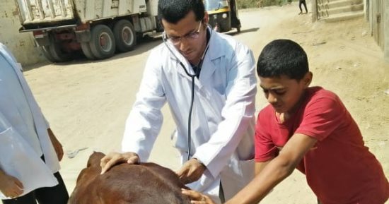 جامعة الزقازيق توجه قافلة بيطرية لقرية العباسة مركز أبو حماد بالشرقية