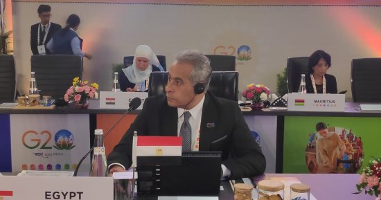 وزير العمل أمام "مجموعة العشرين" بالهند: مصر لم تقف مكتوفة الأيدى أمام التحديات العالمية