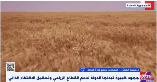 الزراعة لـ إكسترا نيوز: الدولة نفذت مشروعات كبرى لمواجهة التحديات العالمية