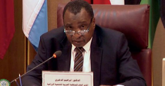 المنظمة العربية للتنمية الزراعية: فاتورة استيراد الغذاء العربى 40 مليار دولار