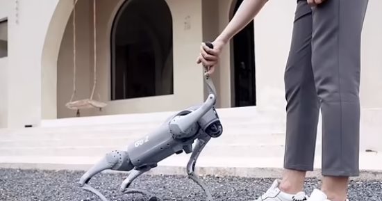 روبوت كلب أليف يمكنه التحدث معك والتقاط صور لك